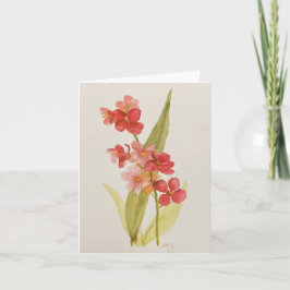 Rött orchid-mappat anteckningskort