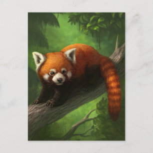 Rött panda-vykort vykort