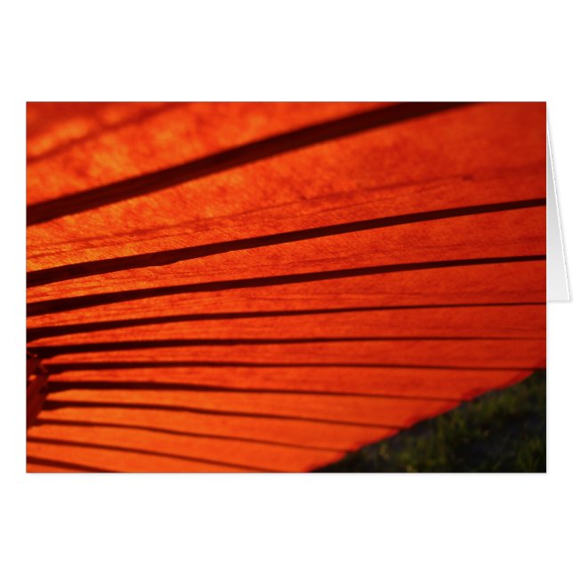 Rött paraply hälsningskort (Framsidan Horizontal)