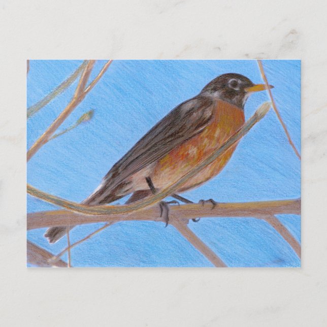 Rött Robin Fine Art Nature-vykort Vykort (Framsida)