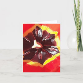 Rött scarlet Tulip-mappat kort