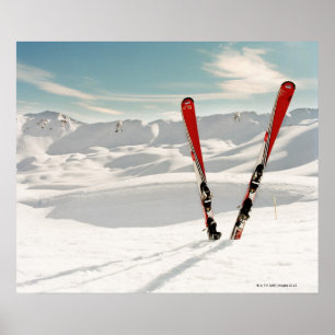 Rött skidar poster