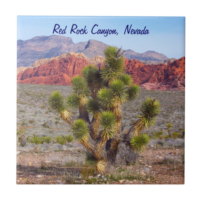 Rött stenkanjonnaturvårdsområde kakelplatta (Framsidan)