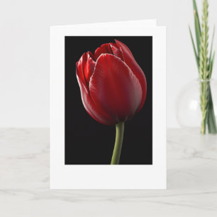 Rött Tulip-gratulationskort Kort