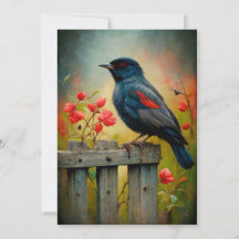 Rött-Winged Black Bird Card