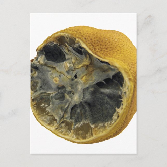 Rotten lemon vykort (Framsida)