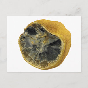 Rotten lemon vykort