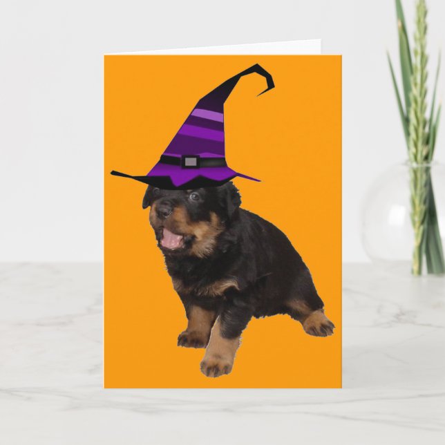 Rotten Witch Kort (Framsida)
