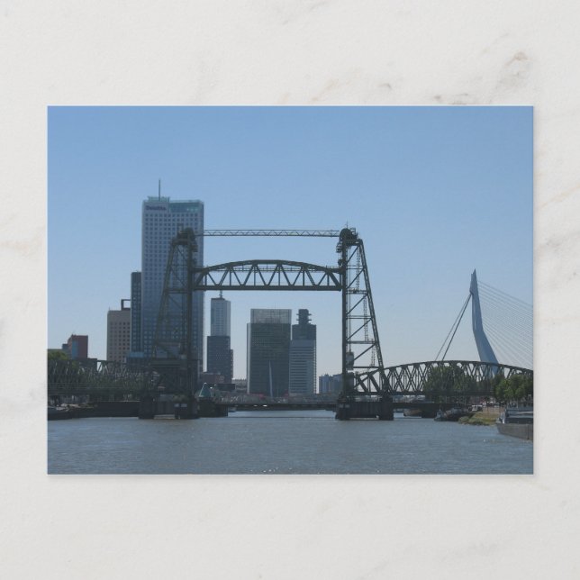 Rotterdam Bridges Meuse River Photo Postcard Vykort (Framsida)