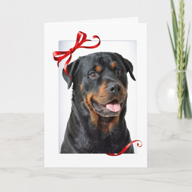 Rottie julkort helgkort (Framsida)