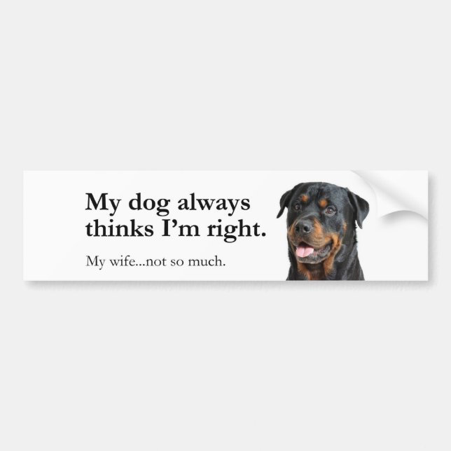 Rottie vs. frun Bumper Sticker Bildekal (Framsidan)