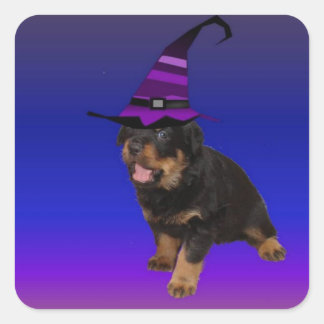 Rottie Witch Fyrkantigt Klistermärke
