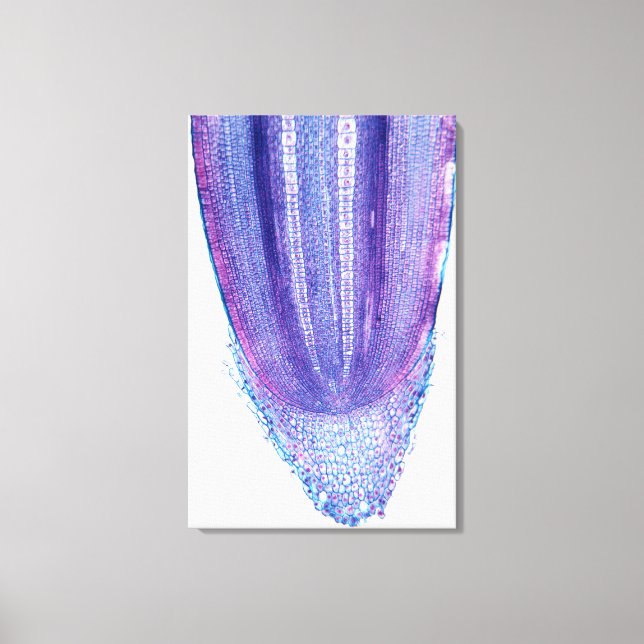 Rottips för maj canvastryck (Framsida)