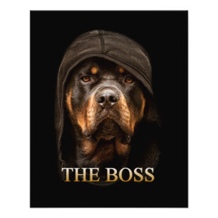 Rottweile Hund Fototryck