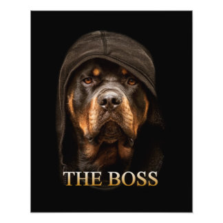 Rottweile Hund Fototryck