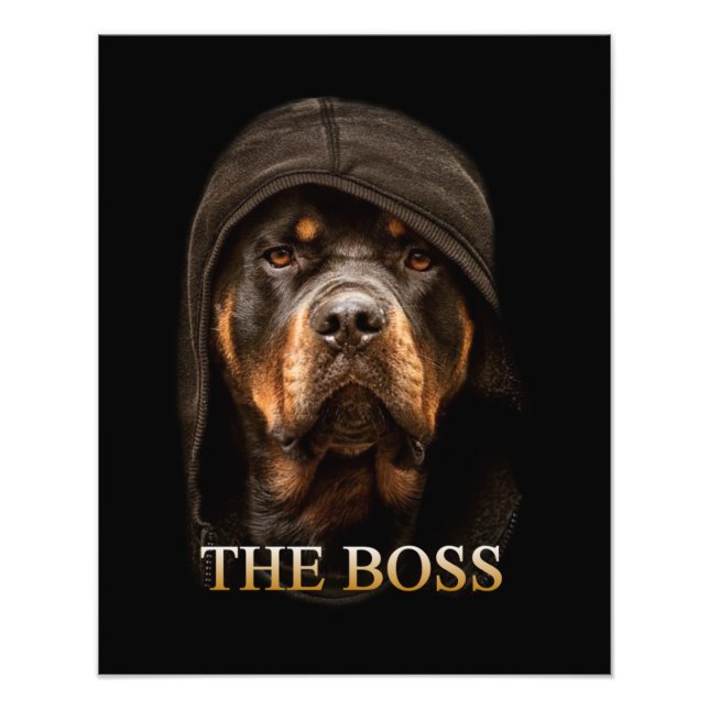 Rottweile Hund Fototryck (Framsidan)
