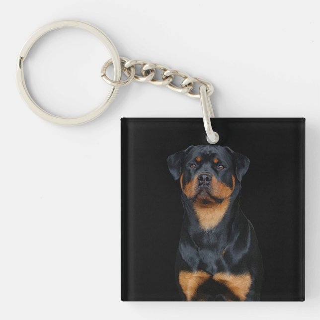 Rottweiler (Framsidan)