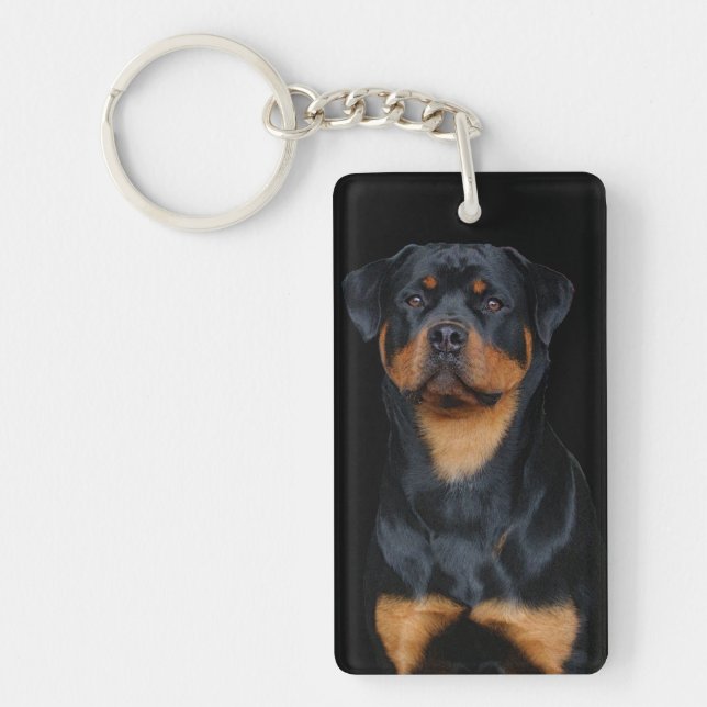 Rottweiler (Framsidan)