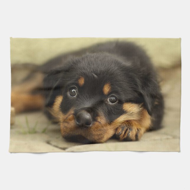Rottweiler20150901 Kökshandduk (Horisontell)