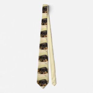 Rottweiler20150901 Slips