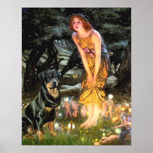 Rottweiler (#3) - Mid Kväll Poster (Framsidan)
