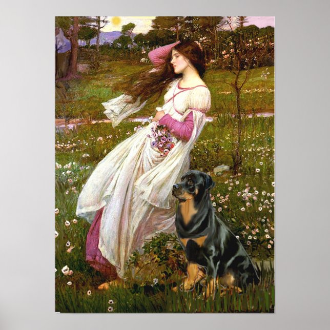 Rottweiler (#5) - Vinblommor Poster (Framsidan)