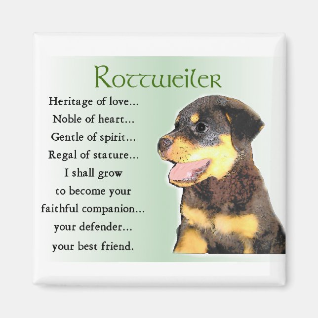 Rottweiler Älskare Gifts Magnet (Framsidan)