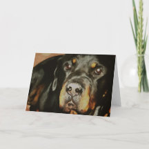 Rottweiler Älskare Pet Porträtt