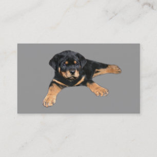 Rottweiler älskarevisitkort visitkort