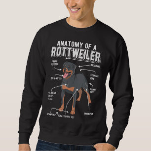 Rottweiler Anatomy Rolig hund Lång Ärmad Tröja