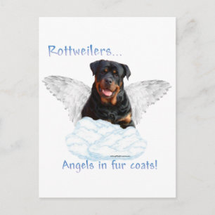 Rottweiler Angel Vykort