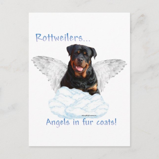 Rottweiler Angel Vykort (Framsida)