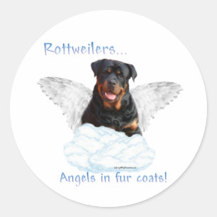 Rottweiler ängelklistermärke runt klistermärke