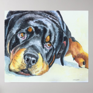 Rottweiler Art Skriv ut Poster