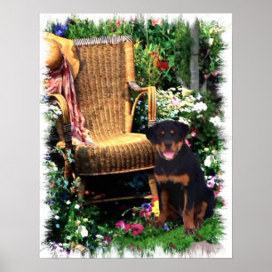 Rottweiler Art-utskrift Poster
