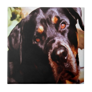 Rottweiler Artistic Pet Portait Kakelplatta