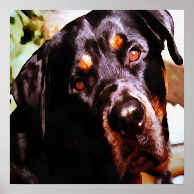 Rottweiler Artistic Pet Portait Poster (Framsidan)