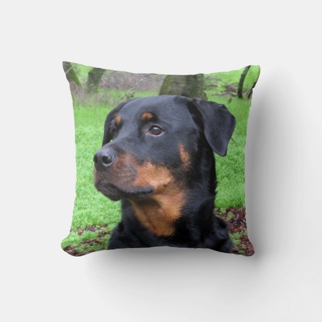 Rottweiler att dagdrömma kudder kudde (Framsida)