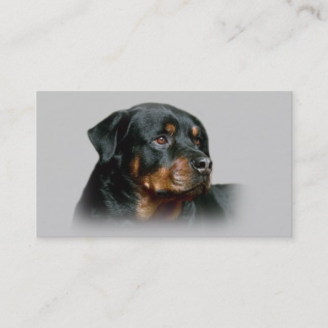 Rottweiler avelsdjurvisitkort visitkort (Framsida)