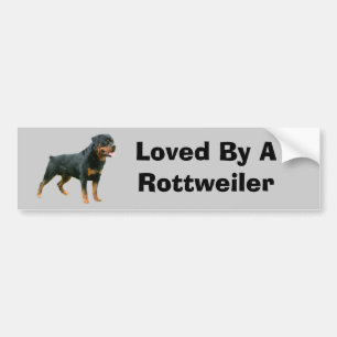 Rottweiler bildekal