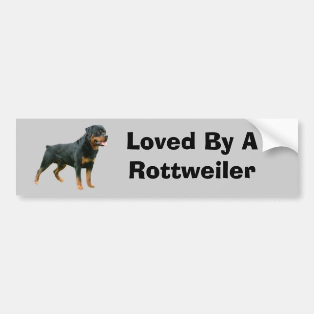 Rottweiler bildekal (Framsidan)