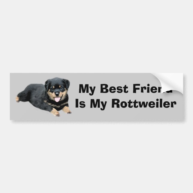Rottweiler bildekal (Framsidan)