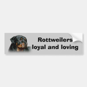 Rottweiler bildekal