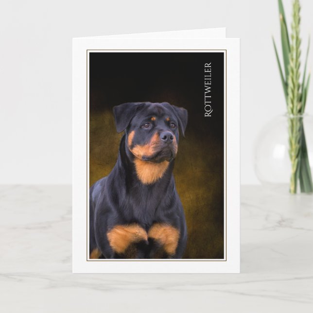 Rottweiler Blank Greeting Card Kort (Framsida)