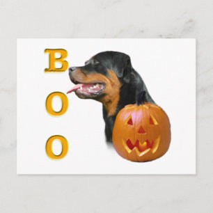 Rottweiler Boo Vykort