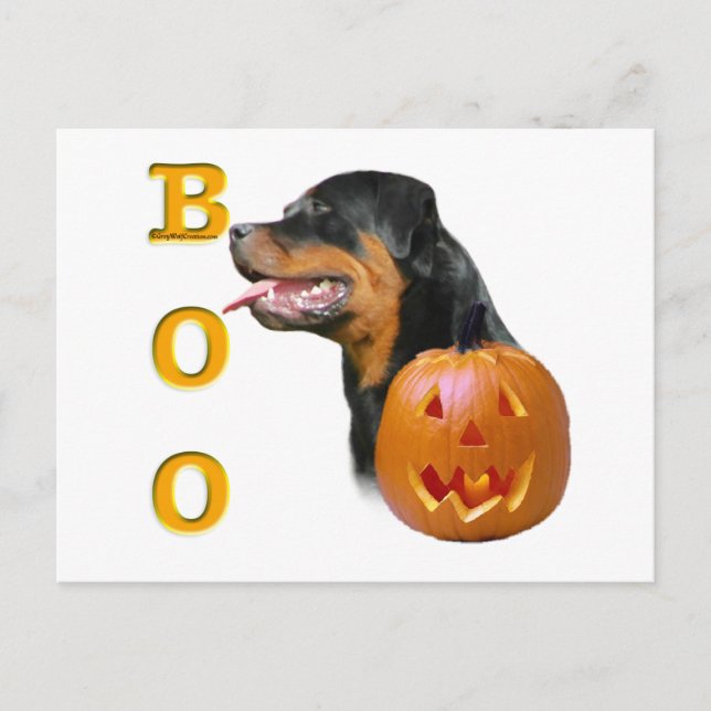 Rottweiler Boo Vykort (Framsida)