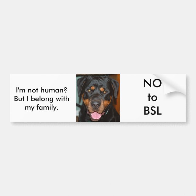 Rottweiler BSL Bildekal (Framsidan)