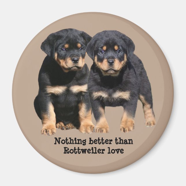Rottweiler Buddies Magnet (Framsidan)