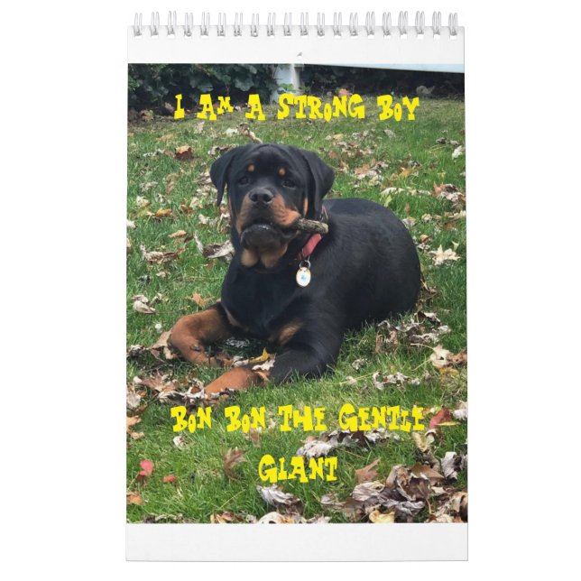 Rottweiler Calendar  Kalender (Omslag)
