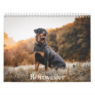 Rottweiler Calendar Kalender